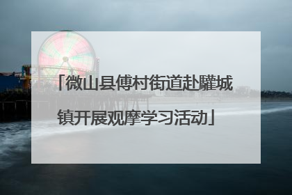 微山县傅村街道赴驩城镇开展观摩学习活动