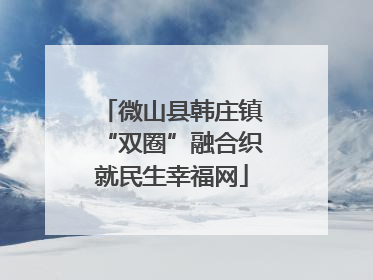 微山县韩庄镇“双圈”融合织就民生幸福网
