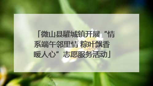 微山县驩城镇开展“情系端午邻里情 粽叶飘香暖人心”志愿服务活动
