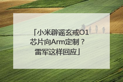 小米辟谣玄戒O1芯片向Arm定制？雷军这样回应