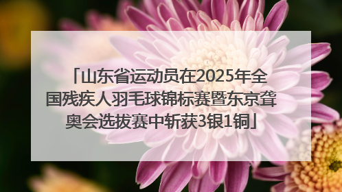 山东省运动员在2025年全国残疾人羽毛球锦标赛暨东京聋奥会选拔赛中斩获3银1铜