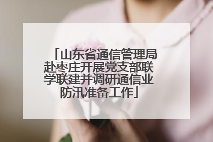 山东省通信管理局赴枣庄开展党支部联学联建并调研通信业防汛准备工作