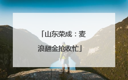 山东荣成：麦浪翻金抢收忙