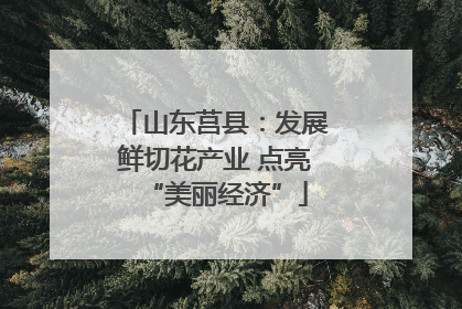 山东莒县：发展鲜切花产业 点亮“美丽经济”