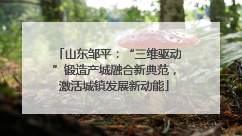 山东邹平：“三维驱动”锻造产城融合新典范，激活城镇发展新动能