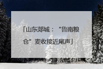 山东郯城：“鲁南粮仓”麦收接近尾声