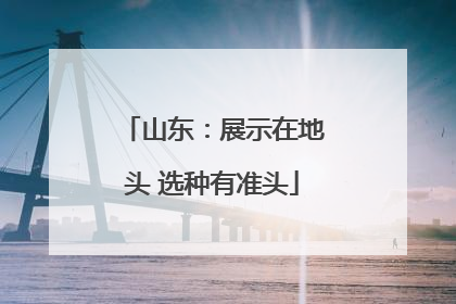 山东：展示在地头 选种有准头
