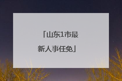 山东1市最新人事任免