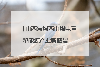山西焦煤西山煤电重塑能源产业新图景