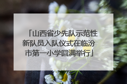 山西省少先队示范性新队员入队仪式在临汾市第一小学圆满举行