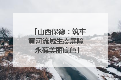 山西保德：筑牢黄河流域生态屏障 永葆美丽底色