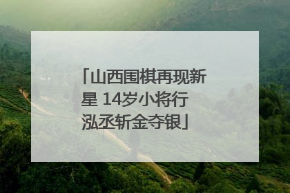 山西围棋再现新星 14岁小将行泓丞斩金夺银
