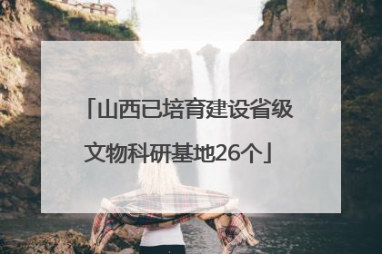 山西已培育建设省级文物科研基地26个