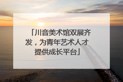 川音美术馆双展齐发，为青年艺术人才提供成长平台