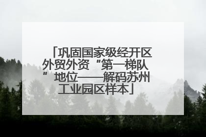 巩固国家级经开区外贸外资“第一梯队”地位——解码苏州工业园区样本