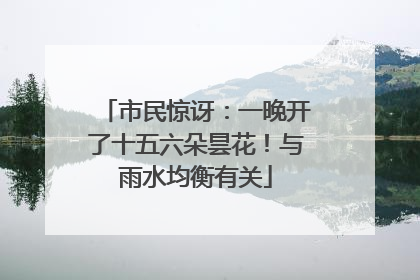 市民惊讶：一晚开了十五六朵昙花！与雨水均衡有关