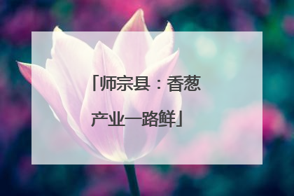 师宗县：香葱产业一路鲜