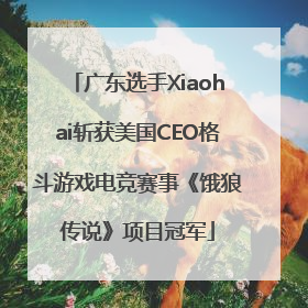广东选手Xiaohai斩获美国CEO格斗游戏电竞赛事《饿狼传说》项目冠军