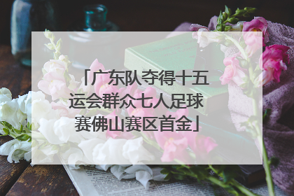 广东队夺得十五运会群众七人足球赛佛山赛区首金