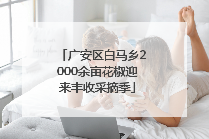 广安区白马乡2000余亩花椒迎来丰收采摘季