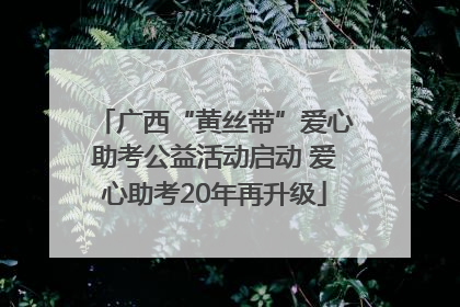 广西“黄丝带”爱心助考公益活动启动 爱心助考20年再升级