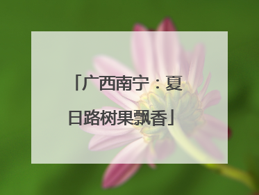 广西南宁：夏日路树果飘香