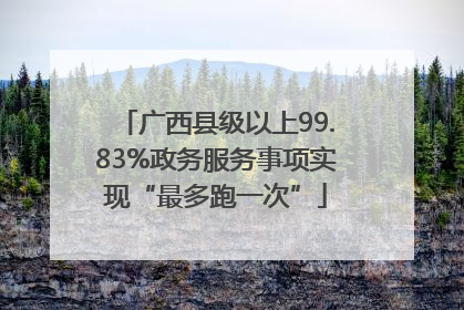 广西县级以上99.83%政务服务事项实现“最多跑一次”