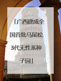 广西建成全国首批马尾松3代无性系种子园