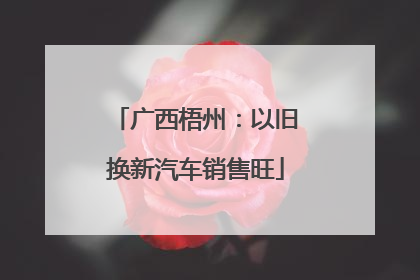 广西梧州：以旧换新汽车销售旺