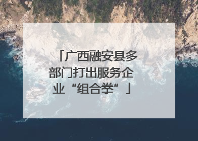 广西融安县多部门打出服务企业“组合拳”