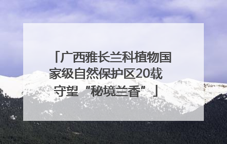 广西雅长兰科植物国家级自然保护区20载守望“秘境兰香”