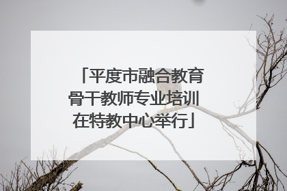 平度市融合教育骨干教师专业培训在特教中心举行