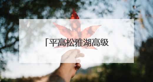 平高松雅湖高级中学：AI赋能，让每个孩子都是“重点学生”