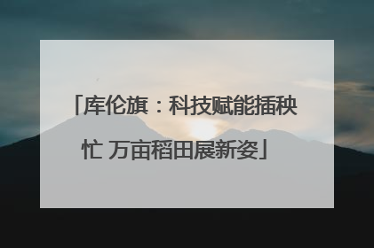 库伦旗：科技赋能插秧忙 万亩稻田展新姿