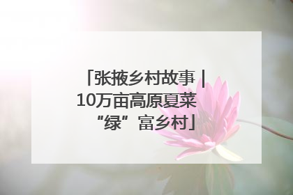 张掖乡村故事｜10万亩高原夏菜“绿”富乡村