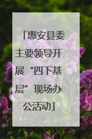 惠安县委主要领导开展“四下基层”现场办公活动