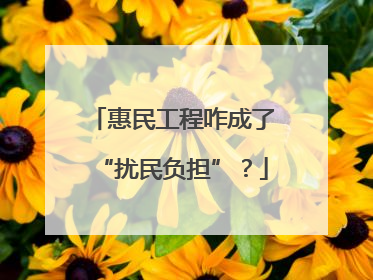 惠民工程咋成了“扰民负担”？