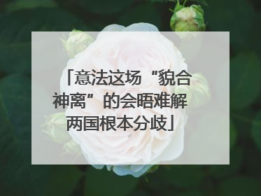意法这场“貌合神离”的会晤难解两国根本分歧