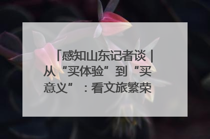 感知山东记者谈｜从“买体验”到“买意义”：看文旅繁荣背后的幸福新定义