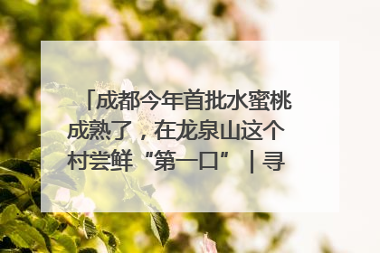 成都今年首批水蜜桃成熟了，在龙泉山这个村尝鲜“第一口”｜寻找和美乡村推荐官