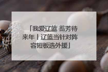 我爱辽篮 蓄芳待来年丨辽篮当针对阵容短板选外援