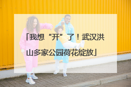 我想“开”了！武汉洪山多家公园荷花绽放