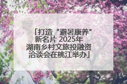 打造“避暑康养”新名片 2025年湖南乡村文旅投融资洽谈会在桃江举办