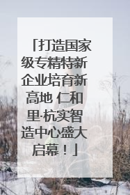 打造国家级专精特新企业培育新高地 仁和里·杭实智造中心盛大启幕！