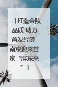 打造金陵品质 助力首发经济 南京迎来首家“胖东来”