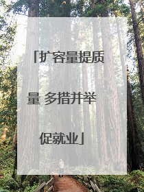 扩容量提质量 多措并举促就业