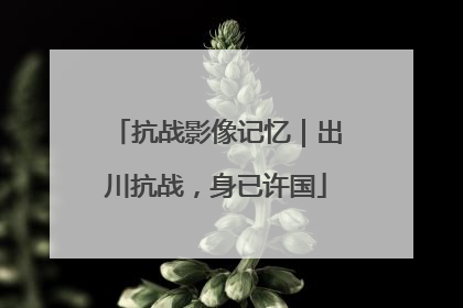 抗战影像记忆|出川抗战,身已许国