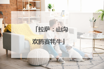 拉萨：山沟欢腾赛牦牛