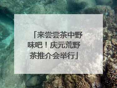 来尝尝茶中野味吧！庆元荒野茶推介会举行