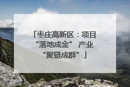 枣庄高新区：项目“落地成金” 产业“聚链成群”